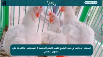 أسعار الدواجن في كفر الشيخ تتغير اليوم الجمعة 8 أغسطس وتأثيرها على السوق المحلي